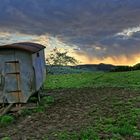 Schäferwagen in der Abendsonne