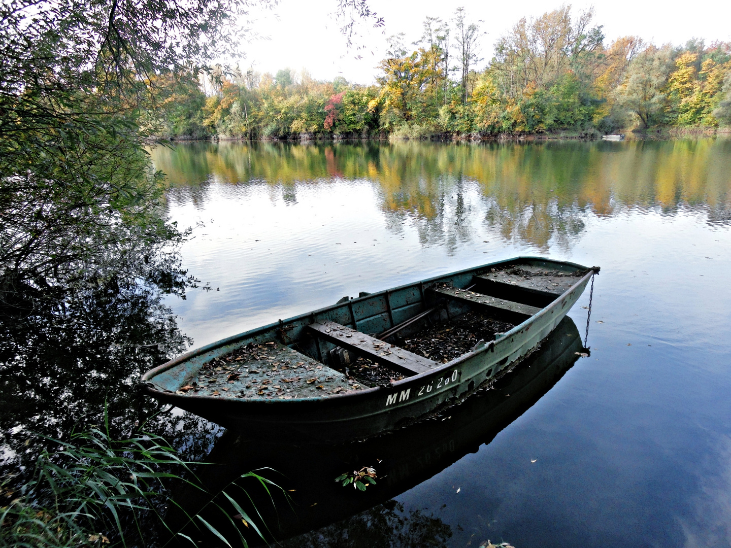 Schäferweiher bei Lingenfeld