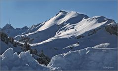 Schäfler mit Säntis