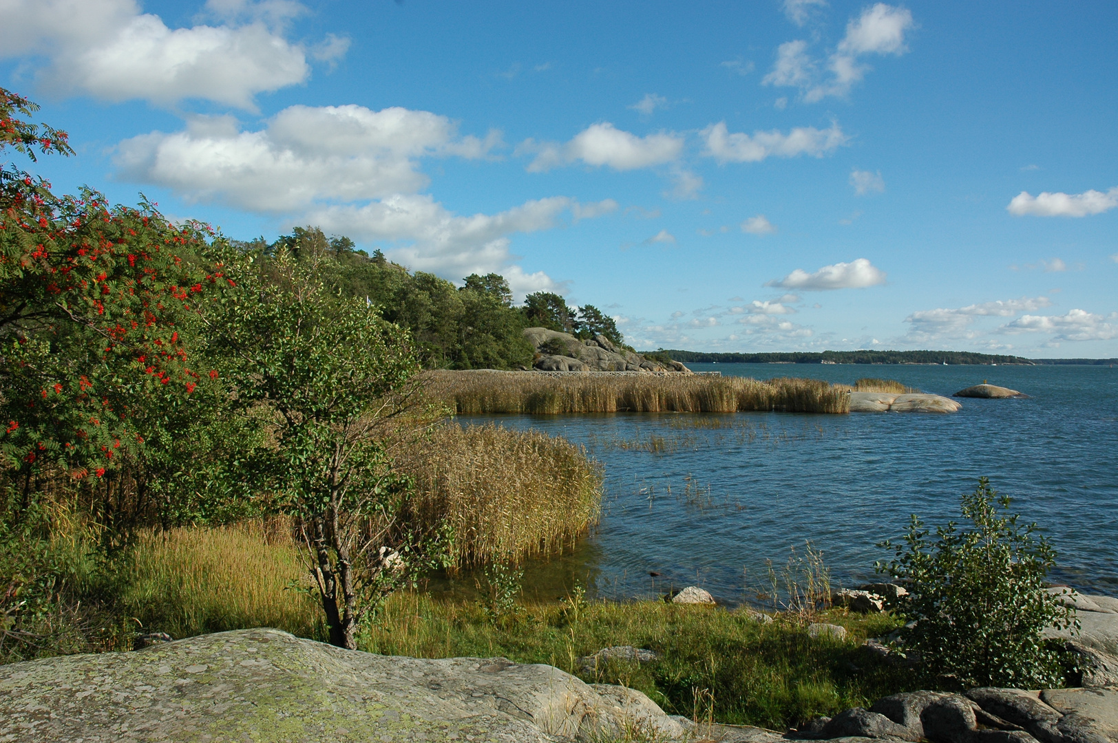 Schären vor Turku