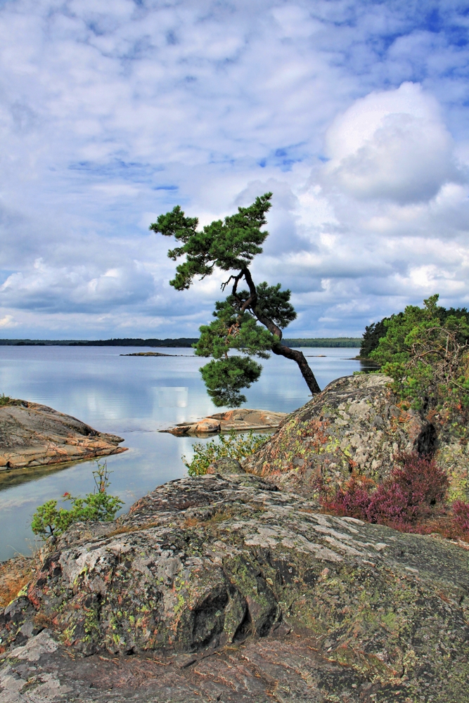 Schärenlandschaft (3)