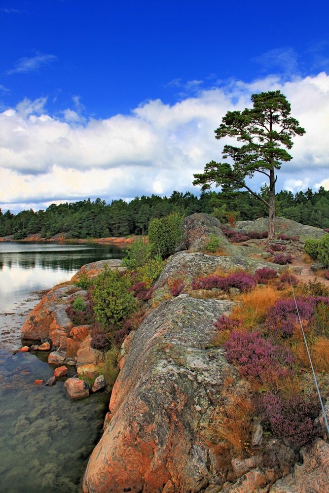 Schärenlandschaft (6)