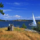 Schärenlandschaft mit Segelboot