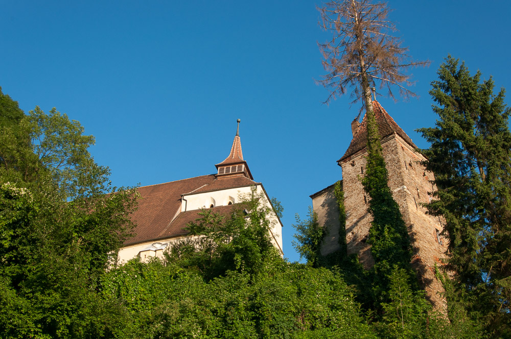 Schäßburg