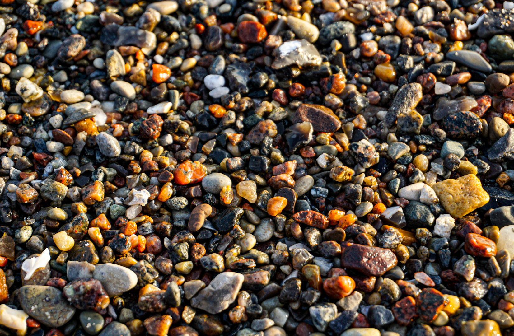 Schätze am Strand 