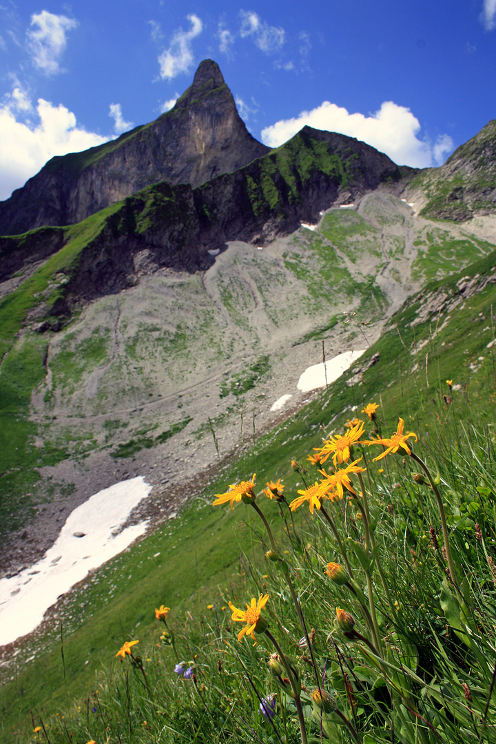 Schätze der Bergwelt!