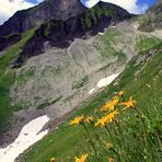 Schätze der Bergwelt!