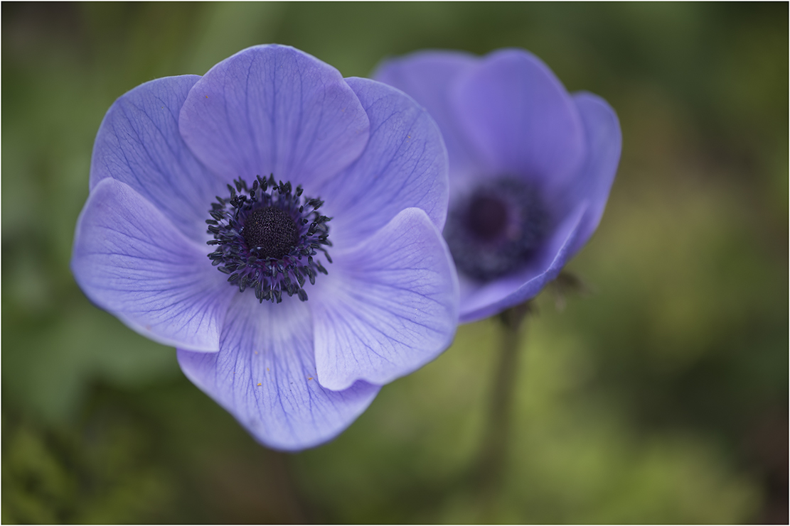 schätze im garten