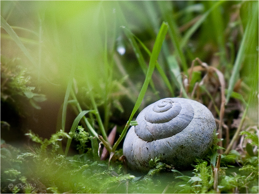 Schätze im Verborgenen