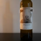 Schaf auf Flasche 