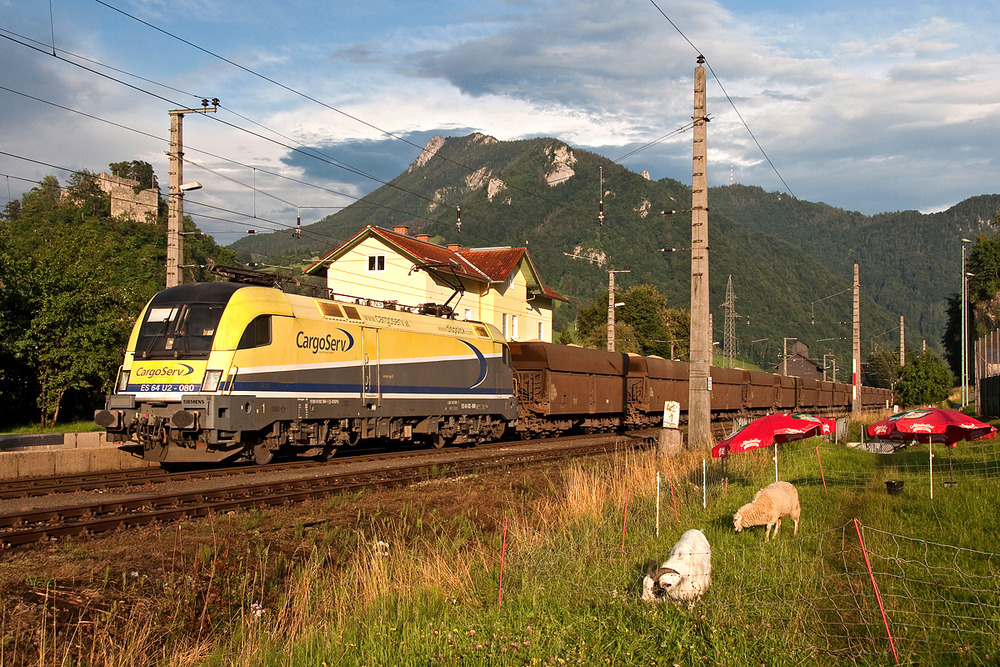 Schaf, Ziege und CargoServ