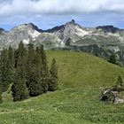 Schafalpenköpfe