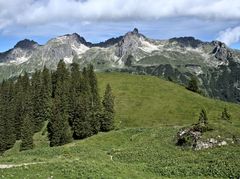 Schafalpenköpfe