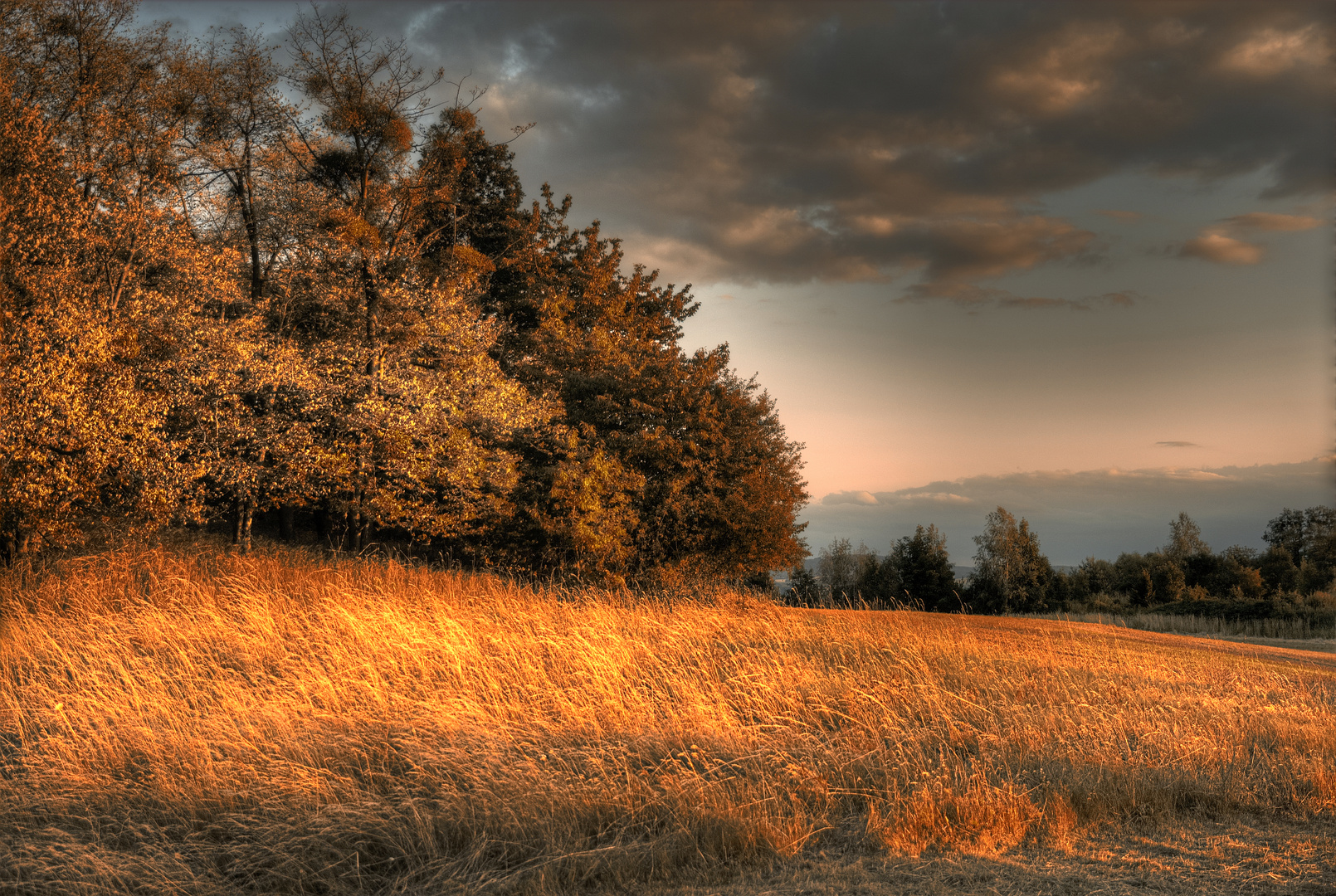 Schafberg Baruth - herbstlicher Abend