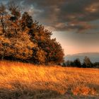 Schafberg Baruth - herbstlicher Abend