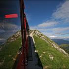 Schafberg-Erlebnis