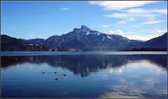 Schafbergblick