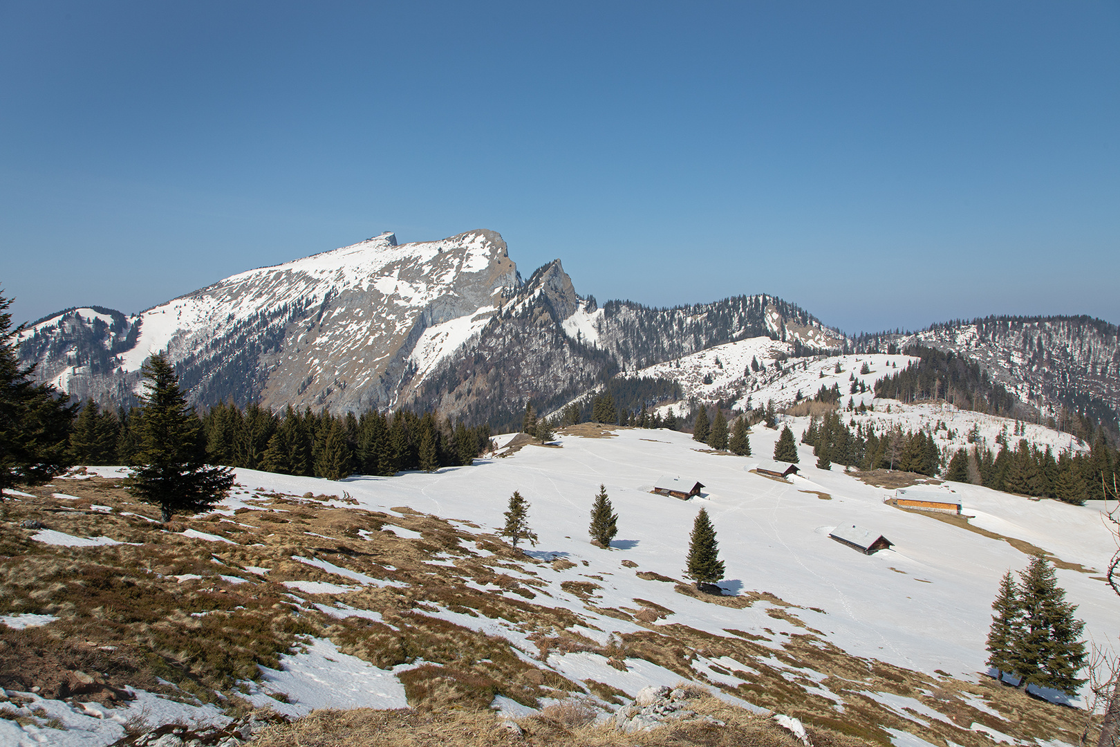 Schafbergblick