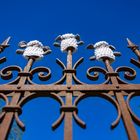Schafe auf dem Zaun