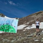 Schafe auf den Berg