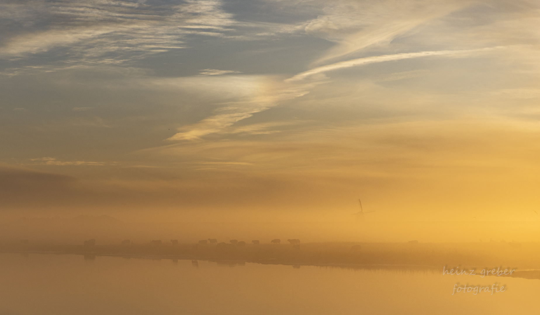 Schafe im Nebel