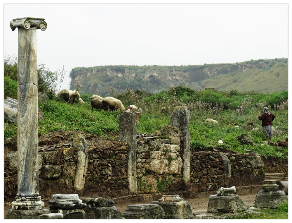 Schafehüten in antikem Ambiente