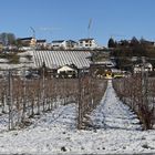  Schaffa, schaffa Häusle bauen, und net nach de Mädle schaua