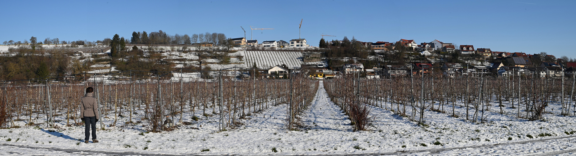  Schaffa, schaffa Häusle bauen, und net nach de Mädle schaua