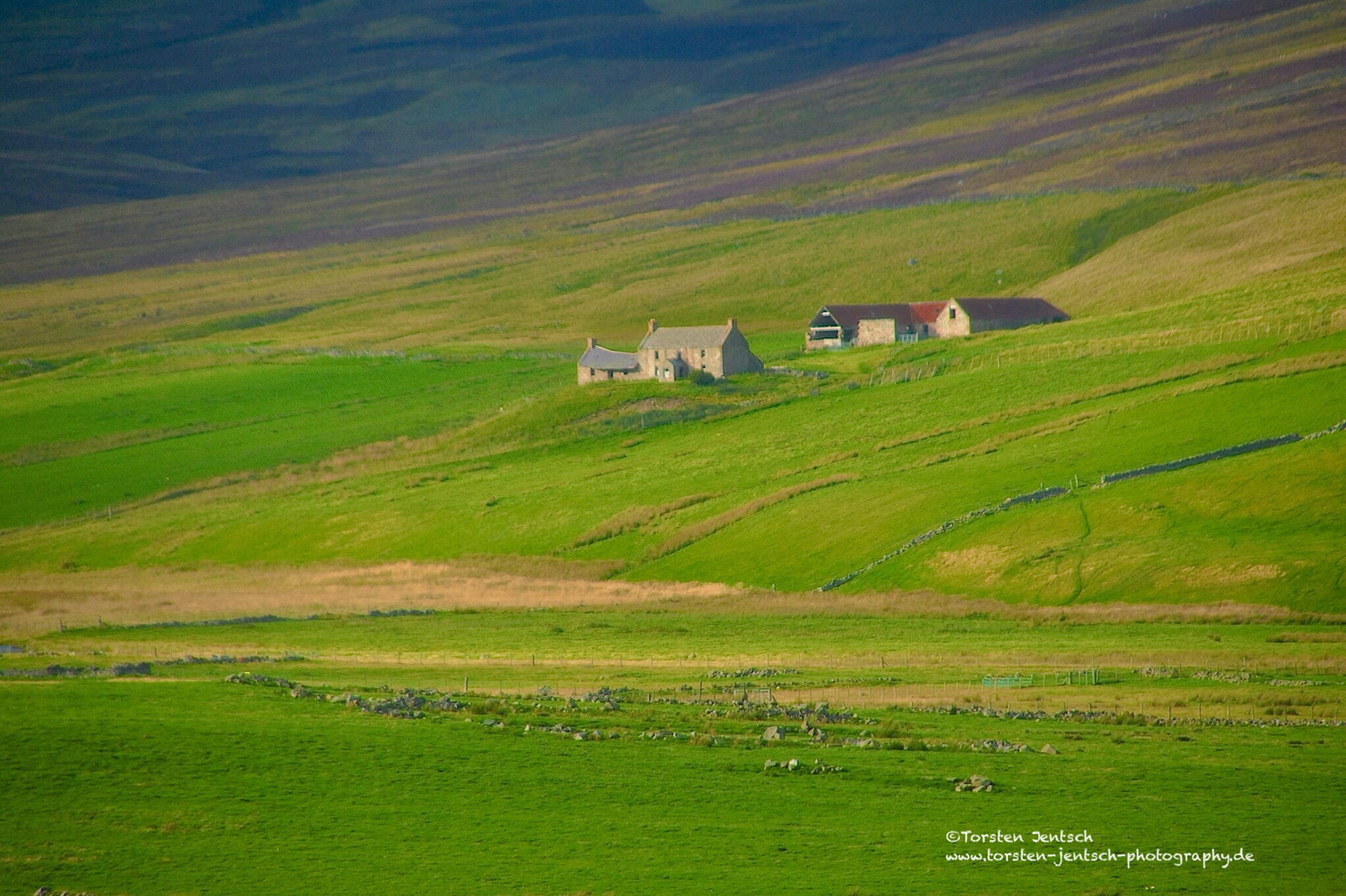 Schaffarm in den Schottischen Highlands