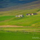 Schaffarm in den Schottischen Highlands