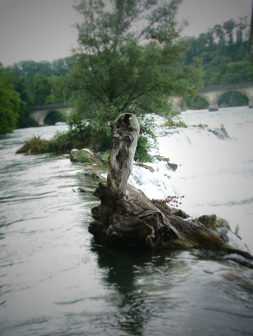 schaffhausen Rheinfall