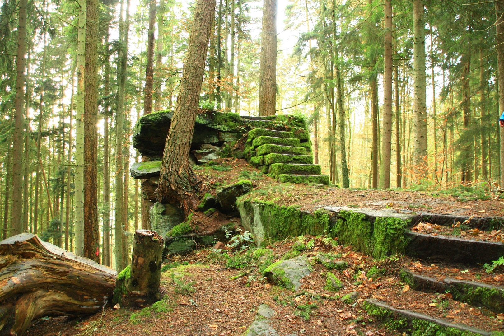 Schaffot Burgruine Waldeck