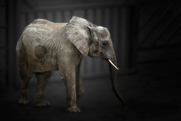 Schafft Euch auch....