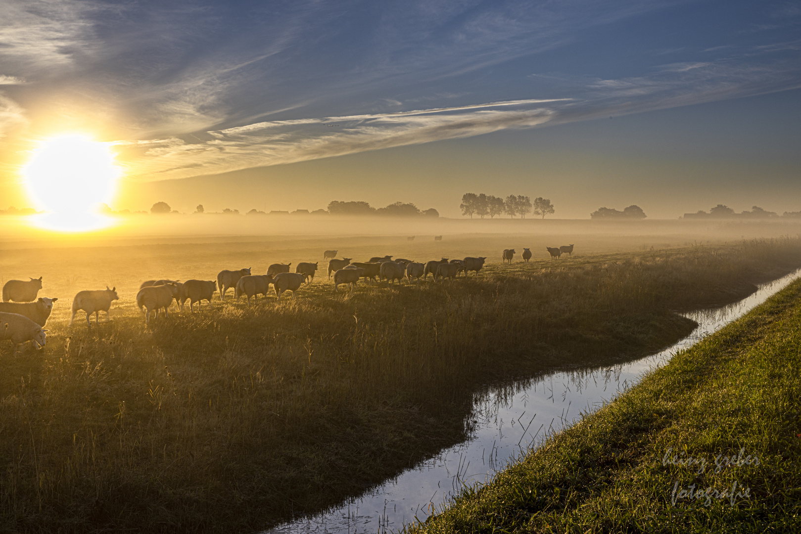 Schafherde bei Sonnenaufgang