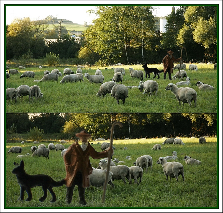 Schafherde mit Ersatzschäfer