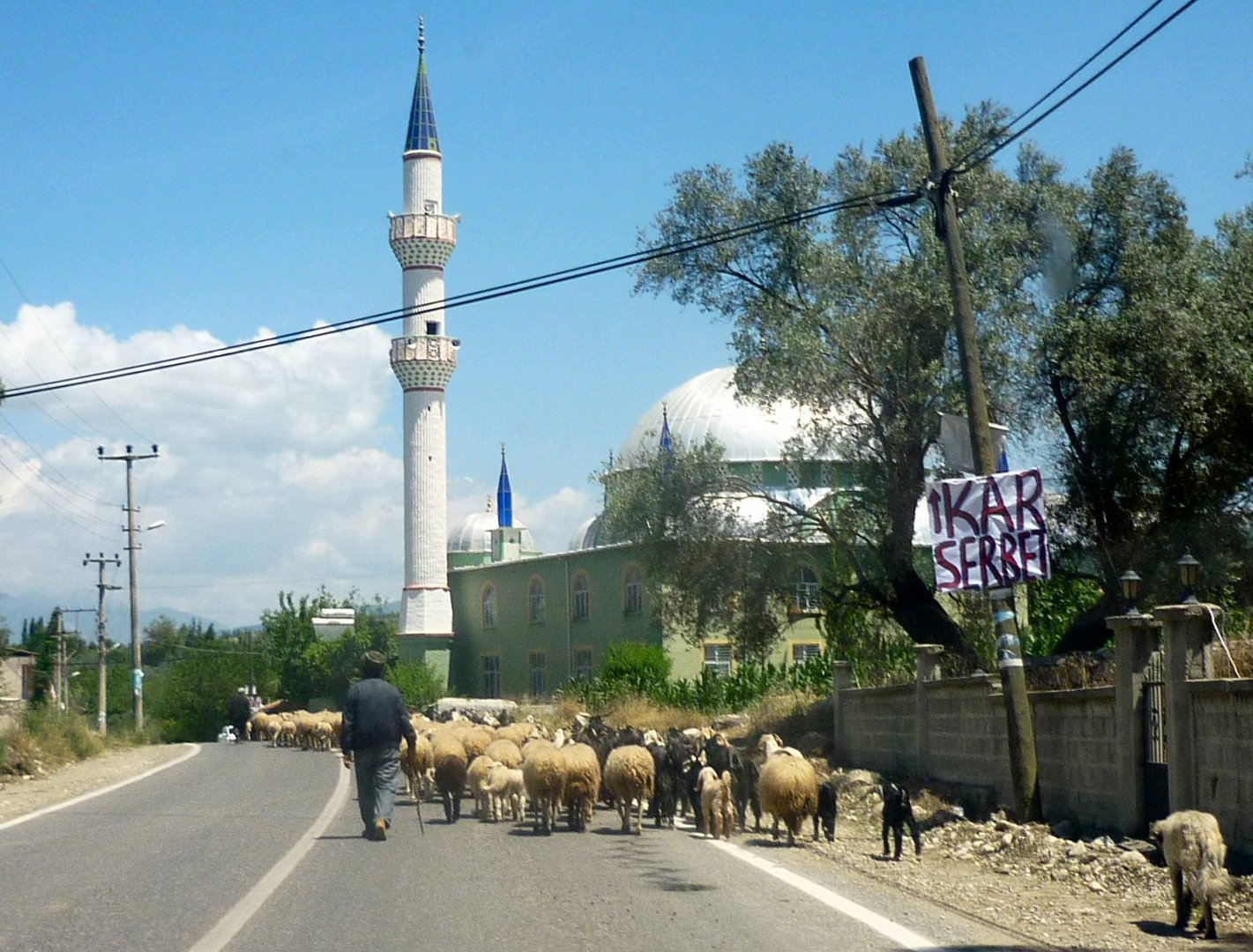 Schafherde vor Moschee, Lykien, Türkei