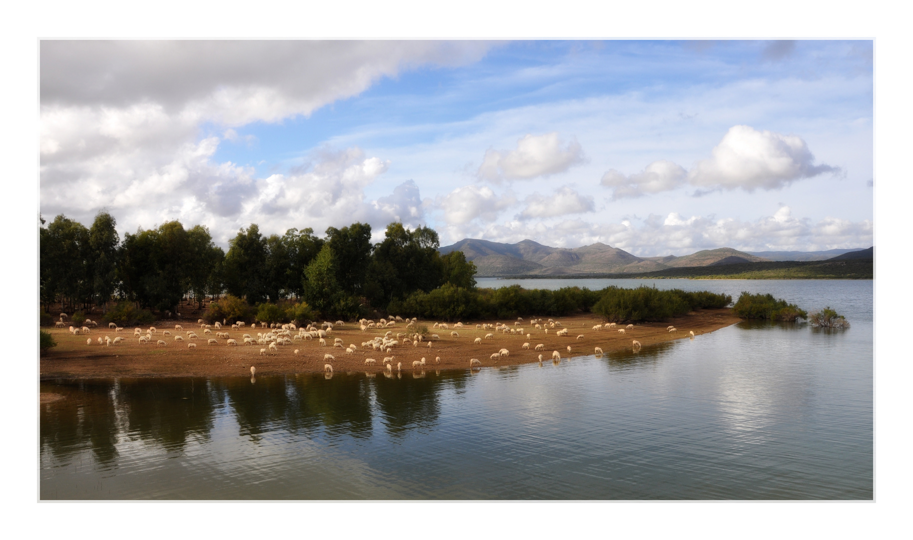 schafherdenidylle am lago di monte prano ...