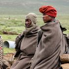 Schafhirten in Lesotho