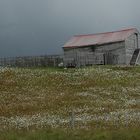 Schafhütte auf Feuerland/Argentinien