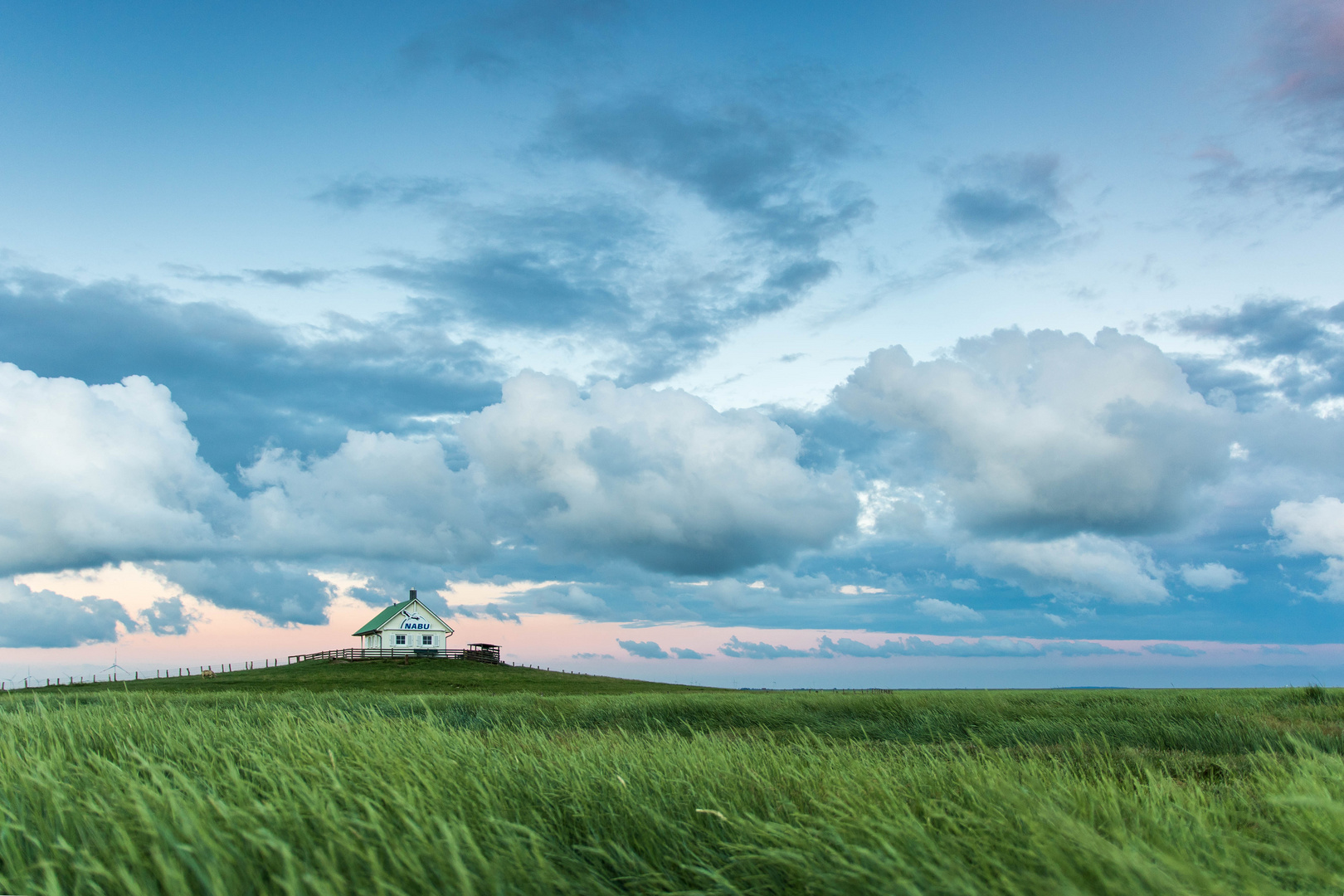 Schafsberg Hamburger Hallig