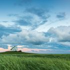 Schafsberg Hamburger Hallig