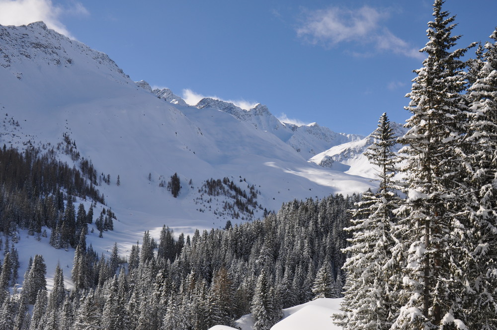 Schafsrücken Arosa