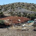 Schafstall im Llogara Nationalpark (Albanien)