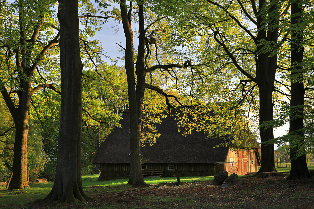 Schafstall in Niederhaverbeck