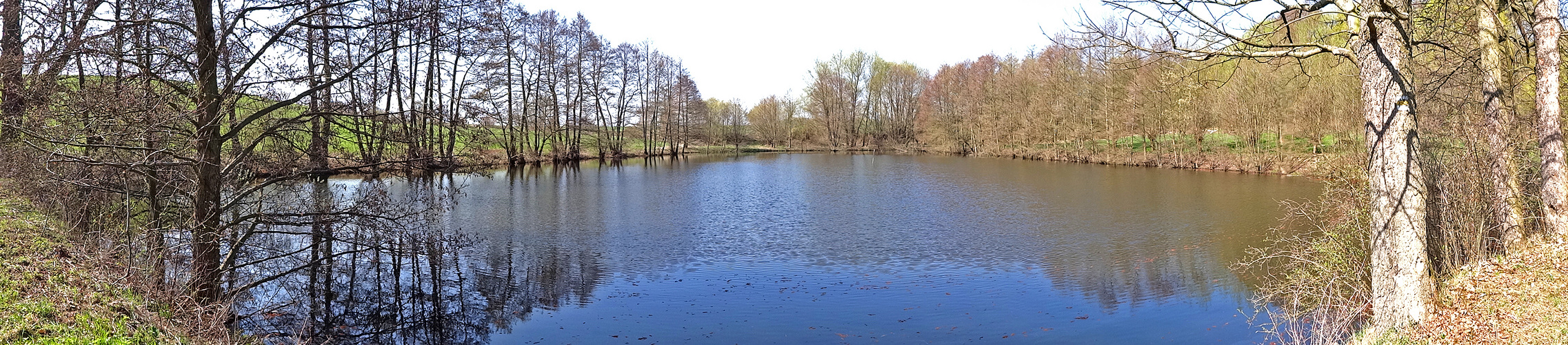 Schafteich bei Neundorf - Plauen