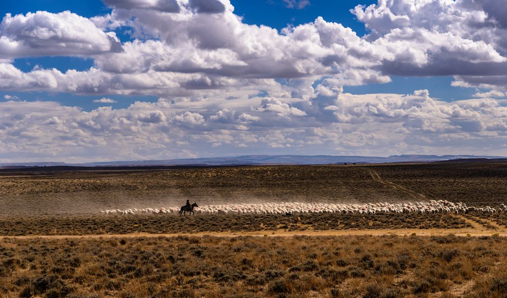 Schaftrieb, Wyoming, USA