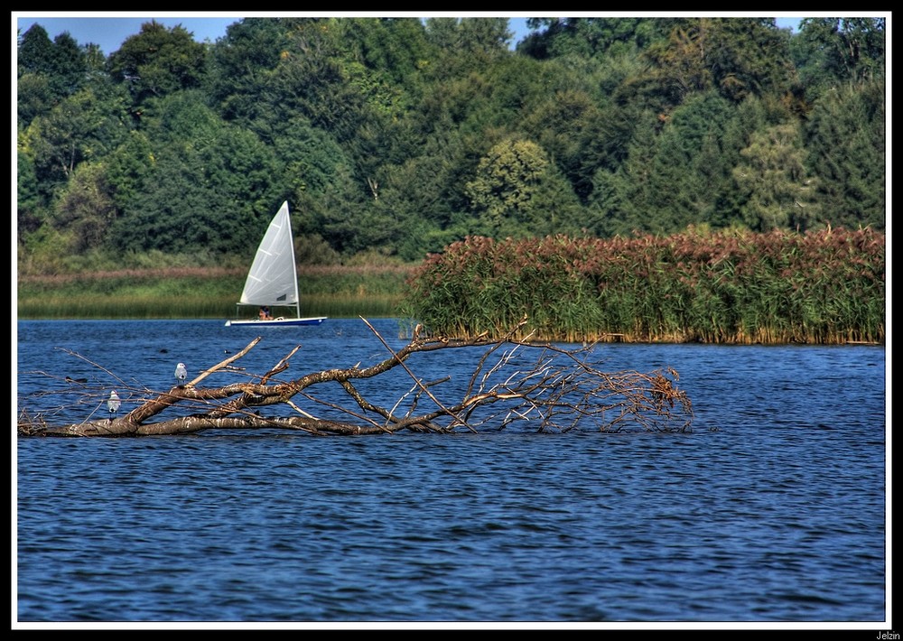 Schafwaschner Bucht - Rastplatz