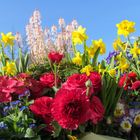 Schale auf dem Friedhof