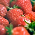 Schale Erdbeeren ohne Schale
