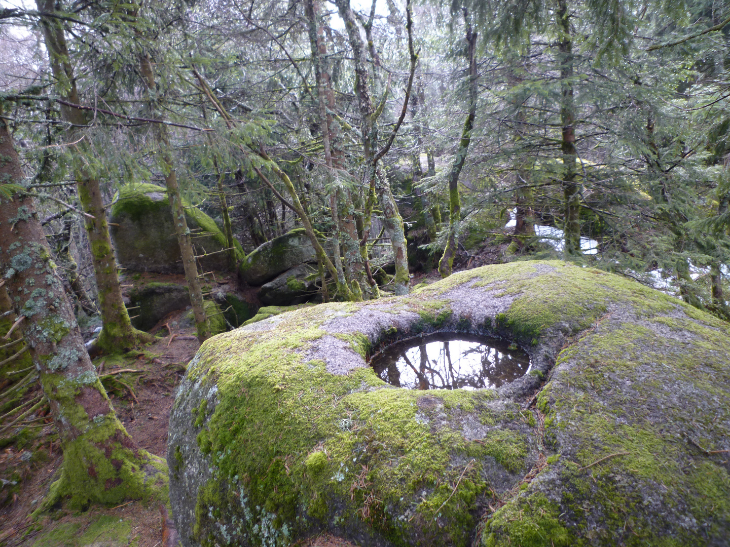 Schalenstein, Opferstein, Schwarzwald